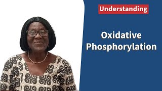 Oxidative Phosphorylation [upl. by Evelunn]