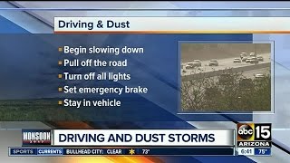 What to do if youre on the road during a haboob [upl. by Senecal275]