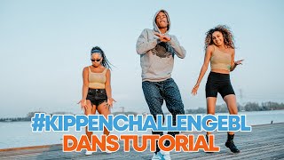 Broederliefde  Kippen  Dans Tutorial Devante Walden Choreografie [upl. by Valora]