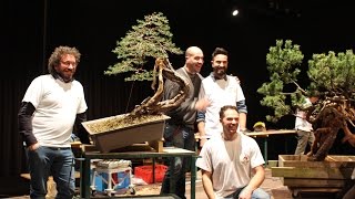 How to style a Pine Bonsai by Mauro Stemberger [upl. by Heyde]