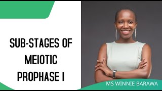 SUBSTAGES OF PROPHASE I OF MEIOSIS LEPTOTENE ZYGOTENE PACHYTENE DIPLOTENE DIAKINESIS [upl. by Cadal]