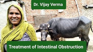 Treatment of Intestinal Obstruction Dr Vijay Verma [upl. by Windy]