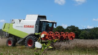 Moisson de colza 2020ETA SARL BannierClaas Lexion 550 [upl. by Aicitel]