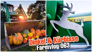 Neue Kühlerfigur🚜  Aussaat Dinkel  Kürbisernte  Farmvlog 063 [upl. by Eissirhc]