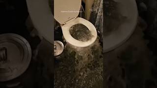 Toilet overflows and floods apartment in Ottawa shorts [upl. by Monda]