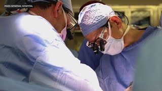 US surgeons transplant a geneedited pig kidney into a patient for the first time [upl. by Aelsel]