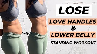 10 MIN LOVE HANDLES AND LOWER BELLY FAT WORKOUT Standing Only  No Equipment [upl. by Anyale]