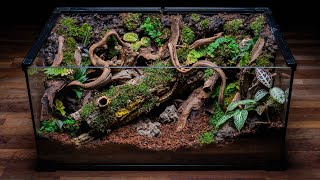 Making a Fallen Tree Vivarium 🌿 [upl. by Cristobal]