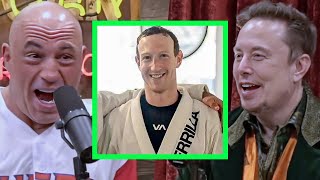 I tried going to Zucks House  Elon REVEALS to Joe Rogan [upl. by Annaiuq328]