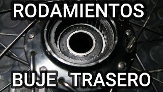 RODAMIENTOS BUJE RUEDA TRASERA MTB [upl. by Ominorej298]