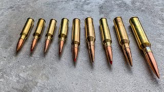 Best Ammo Cartridges for Long Range Shooting 2022  Madman Review [upl. by Auehsoj485]