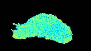 Alignment of Integrins During T Cell Migration [upl. by Durwyn]