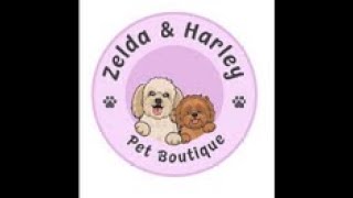 Making Handmade Personalized Dog Bandanas at Zelda amp Harley Pet Boutique [upl. by Becca]