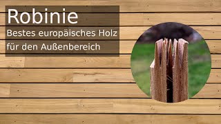 Robinie Terrassendiele keilgezinkt  Erklärung Vor und Nachteile von Terrassendielen bis zu 6 m [upl. by Henryson]