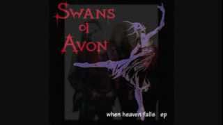 SWANS OF AVON  When Heaven Falls [upl. by Einot781]