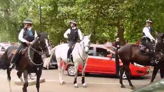 Met Police Mounted Branch [upl. by Eilyah]