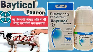 Bayticol pour on how to use  flumethrin 1 wv uses in hindi  veterinarymedicinereviewhindi [upl. by Keligot]