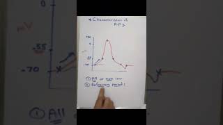 Refractory period in action potential شرح لمادة الفيسيولوجي بالعربي [upl. by Newlin]