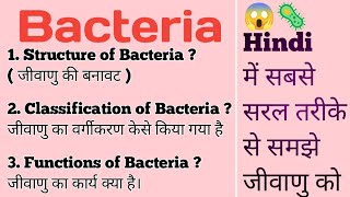 Bacteria Structure Classification Functions  हिंदी  जीवाणु का वर्गीकरण और कार्य हिंदी में [upl. by Einahets]