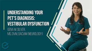 Understanding Your Pets Diagnosis Vestibular Dysfunction [upl. by Nerreg]