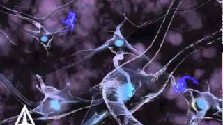 How Neurotransmission amp brain signals work  3D animation [upl. by Aim368]