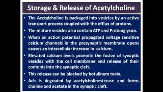 Acetylcholine  CBL [upl. by Nelleus383]