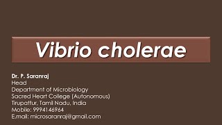 Vibrio cholerae [upl. by Rosenstein]