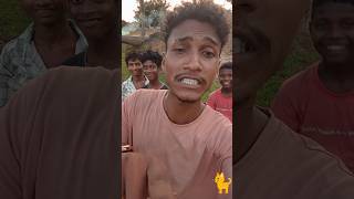 seta 🐕 asul kope boyha menkhan pussi 😺 do bang 🤣🤣 funny video dnscomedy [upl. by Enelyahs]