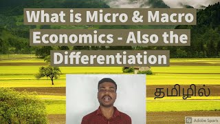 What is Micro amp MacroEconomics   Also the Differentiation TAMIL [upl. by Clothilde243]