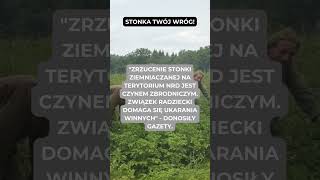 Stonka twój wróg historia shorts [upl. by Shepley]