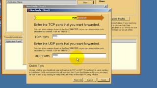 PFConfig and PFPortTester  How To Create a Custom Port Forward and Test It [upl. by Glad]