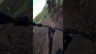 Berms on Upper Regulator 🌀 youtubeshorts mtb [upl. by Cavil]