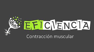 CONTRACCIÓN MUSCULAR Explicada a Fondo [upl. by Ridglea756]