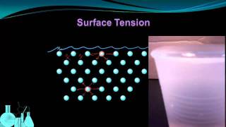 Chemistry 82b Properties of Liquids Surface Tension and Capillary Action [upl. by Edla]