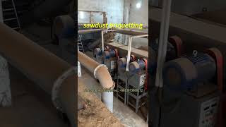 Sawdust briquette machine plant setup for biomass recycling biomass briquette extruder for ecofuel [upl. by Cassius]