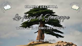 GRAZIA DELEDDA La fuga di Giuseppe da IL CEDRO DEL LIBANO [upl. by Nomyar351]