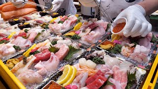 참돔 양식장 부터 시장골목 민영 활어 집 까지  거를 게 없는 해산물 모음  Seafood from Sashimi to Fish Farms  Korean Sea food [upl. by Vasilek]