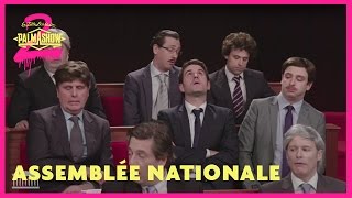 Lassemblée nationale  Palmashow [upl. by Ihel]