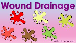 Types of Wound Drainage [upl. by Tacklind]