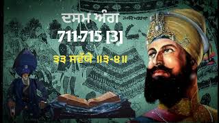 Katha  33 Savaiye Dasam Ang 711  715  Guru Gobind Singh Ji  Dasam Granth  Giani Sher Singh Ji [upl. by Nynnahs289]