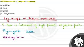 Asexual reproduction by zoospores is observed in [upl. by Jose]