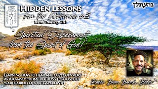 quotSPIRITUAL DISCERNMENT FROM THE SPIRIT OF GODquot with Rabbi Brian Baruch Bileci [upl. by Lundell843]