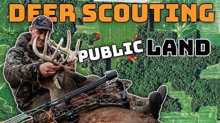 Deer Scouting 101  EVERYTHING YOU NEED TO KNOW [upl. by Arturo920]