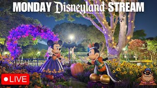 🔴 Live Monday Halloween Stream at Disneyland Halloween Screams Projections and Rides  100724 [upl. by Sirkin]