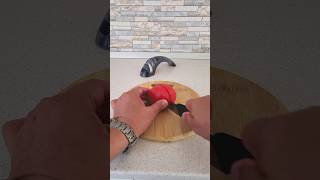 Victorinox Knife Sharpener Test and Demo victorinox victorinoxknife fire [upl. by Admama4]