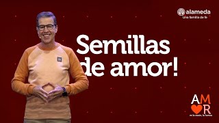 Semillas de amor [upl. by Gerk]