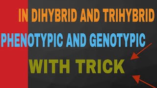 IN diHybrid AnD TRiHyBrid TRICK to solve GENOTYPIC AND PHENOTYPIC Ratio [upl. by Amethyst]