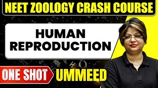 HUMAN REPRODUCTION in 1 Shot All Concepts Tricks amp PYQs  NEET Crash Course  Ummeed [upl. by Marilee625]