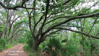 Triple Creek Nature Preserve  Hillsborough County Florida [upl. by Nerine78]