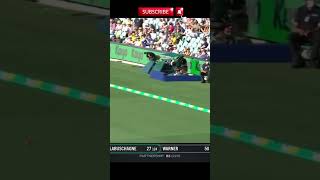 Beauty of Marnus Labuschagne foryou trendingshorts cricketshorts cricket trending [upl. by Beyer259]